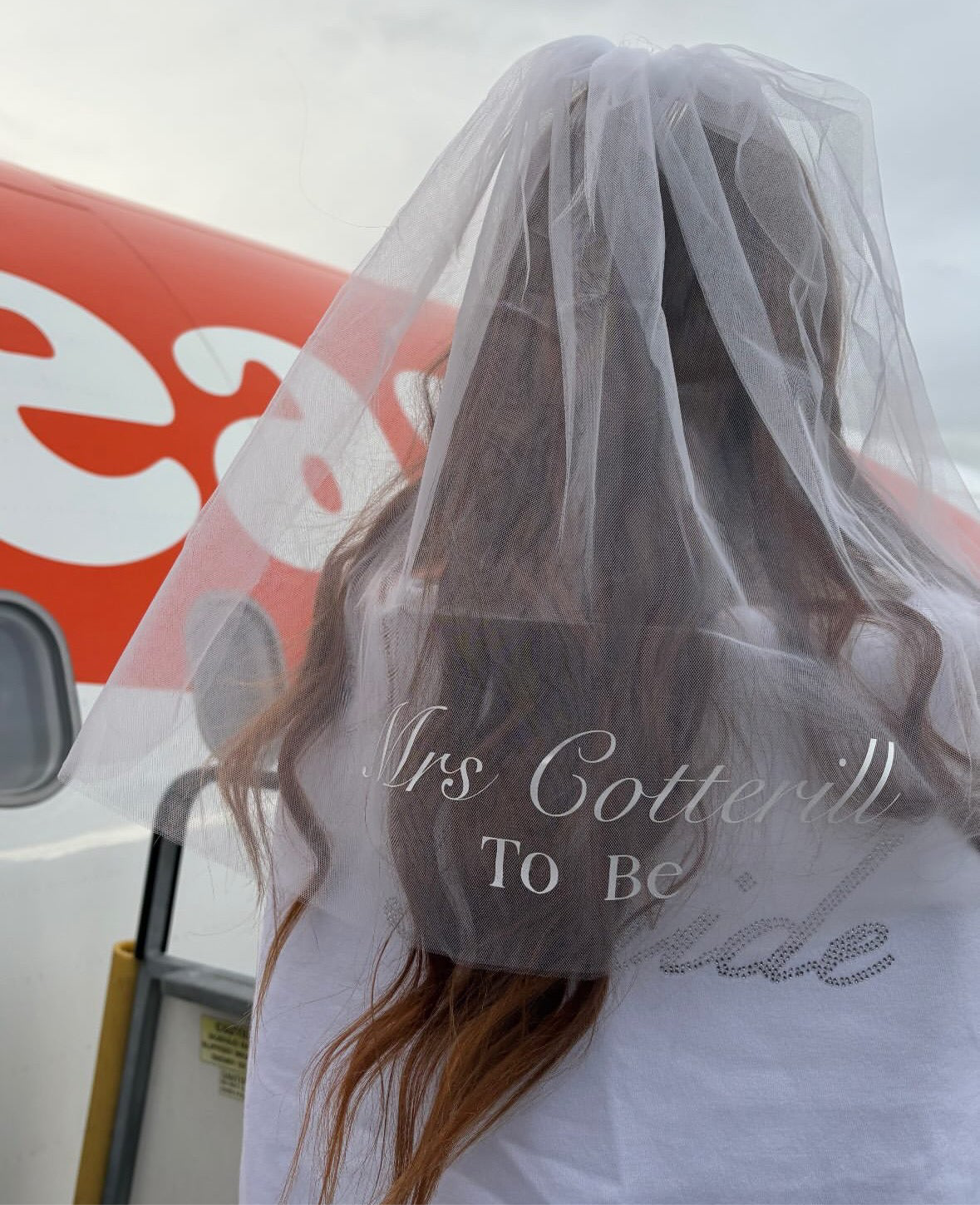 Bride to Be Veil